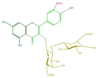 FL5FADGA0003.png