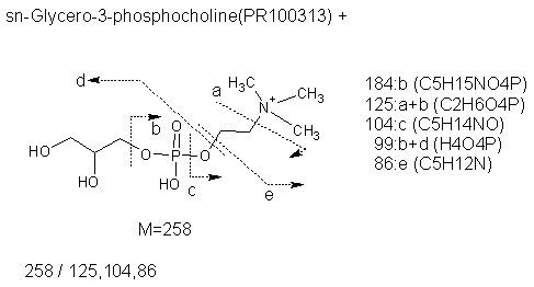 Fragmentation:PR100313p.png