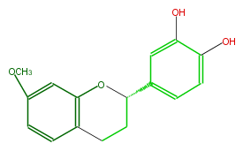 FL6F1CNS0001.png