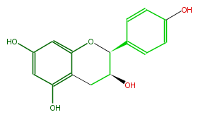 FL63AANS0003.png