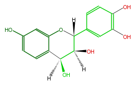 FL6D1CNS0001.png