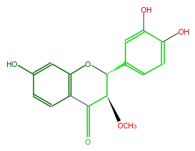 FL4D1CNS0003.png