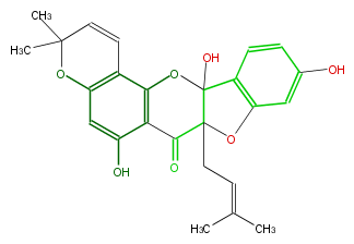 FL4DRNNP0001.png