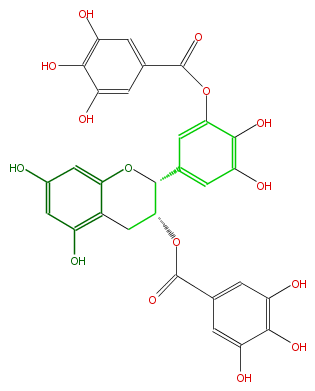 FL63AGNS0010.png