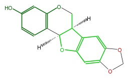 FLID1CNS0001.png