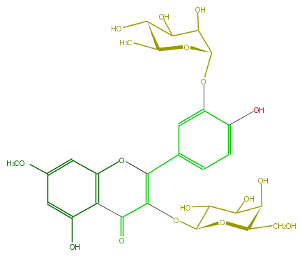 FL5FCCGA0005.png