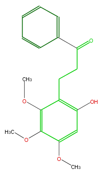 FL1DRTNS0011.png