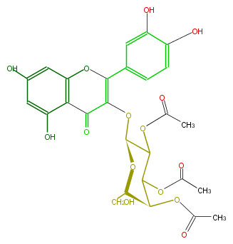 FL5FACGA0035.png