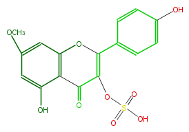 FL5FCANSS001.png