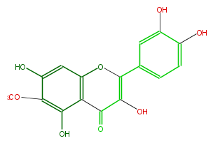 FL5FECNS0005.png