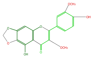 FL5FECNS0040.png