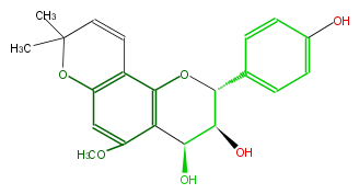 FL6DBANP0001.png