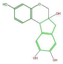 FLNB2CNS0001.png