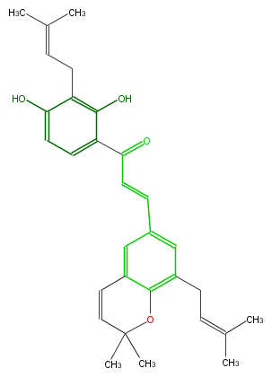 FL1C1ANP0006.png