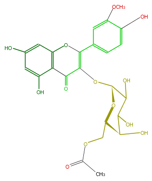 FL5FADGA0020.png