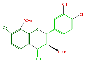 FL6D3CNS0005.png