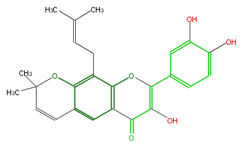 FL5F1CNP0002.png