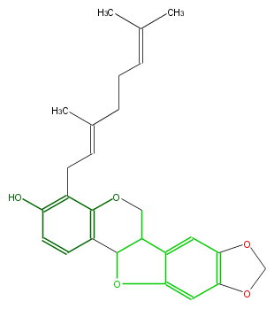 FLID1CNI0002.png