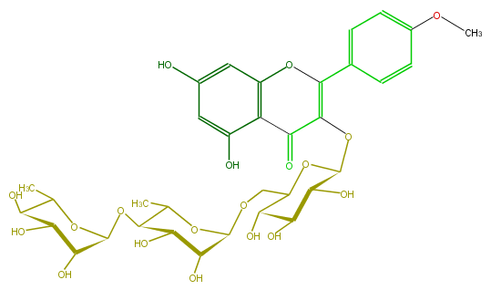 FL5FABGS0011.png