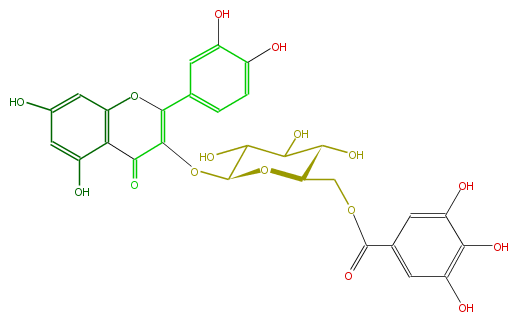 FL5FACGL0056.png
