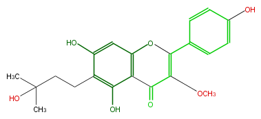 FL5FDANI0003.png