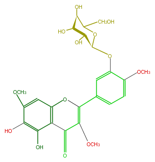 FL5FECGS0033.png