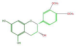 FL63AFNS0001.png