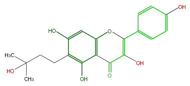 FL5FAANI0002.png