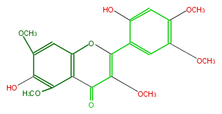 FL5FELNS0013.png
