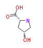 BMACPLHO0005.png