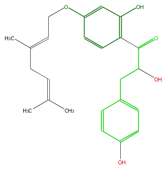 FL1DHXNI0002.png