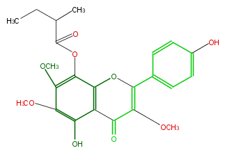 FL5FGANI0001.png