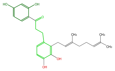FL1D1CNI0001.png