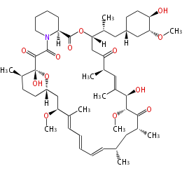 Rapamycin.Mol.png