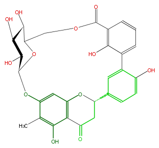FL2FAAGC0002.png