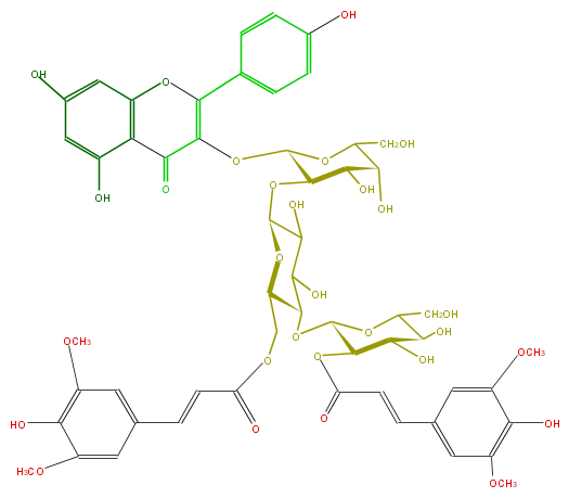 FL5FAAGA0038.png