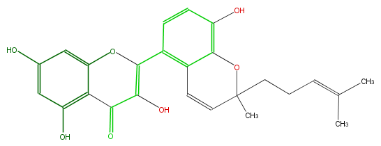 FL5FACNP0006.png