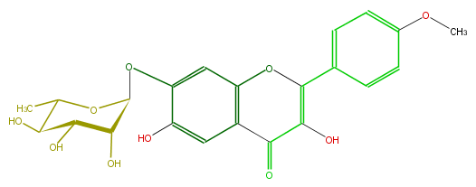 FL5F2AGS0001.png