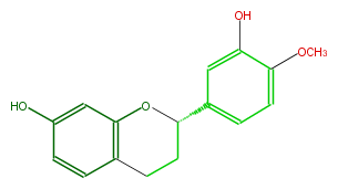 FL6F1CNS0003.png