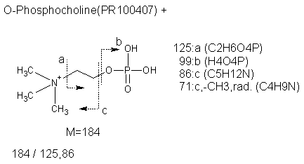 Fragmentation:PR100407p.png