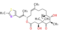 Epothilone D.Mol.png