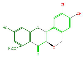 FL4DPTNS0004.png