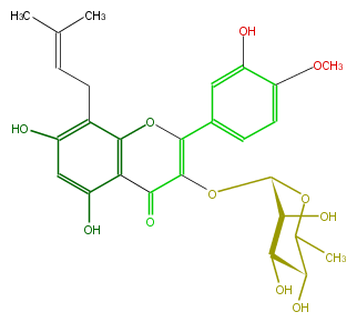 FL5FAEGI0001.png
