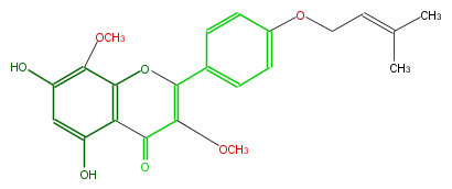 FL5FFANI0002.png