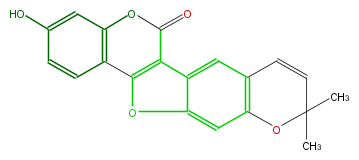 FLIE1ANP0002.png