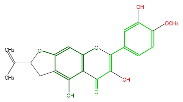 FL5FAENF0001.png