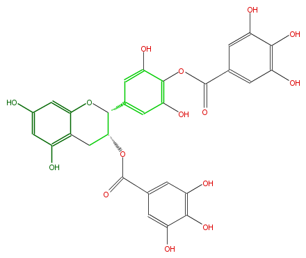 FL63AGNS0011.png