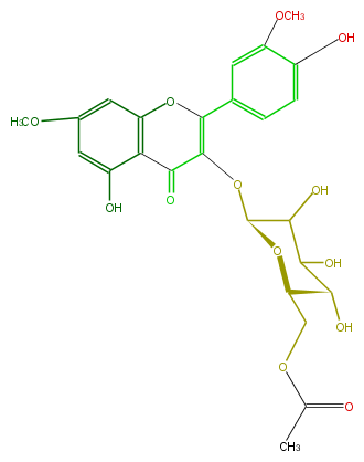 FL5FCDGL0003.png