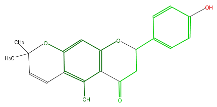 FL2FAANP0009.png