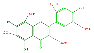 FL5FGLNS0009.png